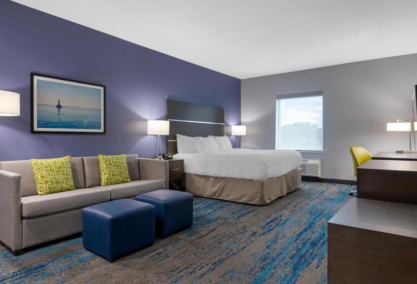 جناح لذوى الاحتياجات الخاصة, Comfort Inn & Suites Adrian