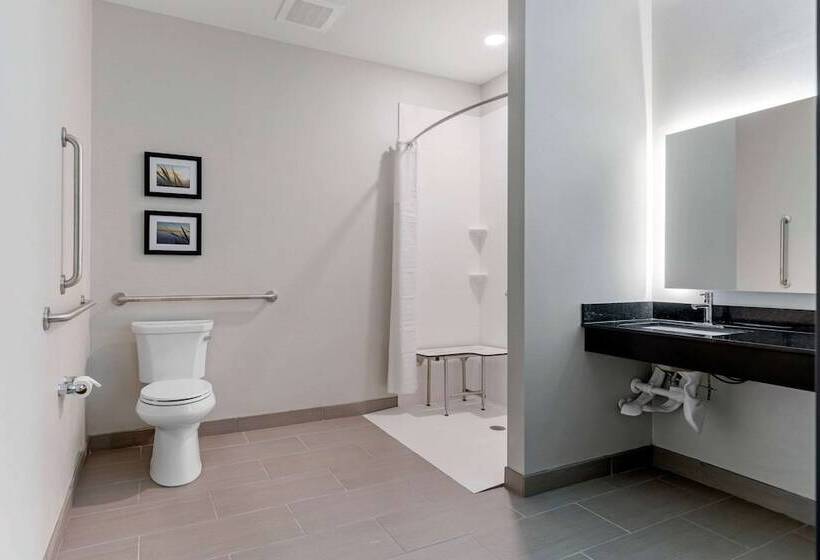 جناح لذوى الاحتياجات الخاصة, Comfort Inn & Suites Adrian