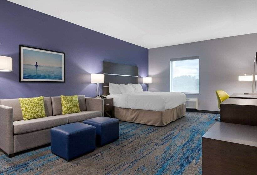 جناح لذوى الاحتياجات الخاصة, Comfort Inn & Suites Adrian