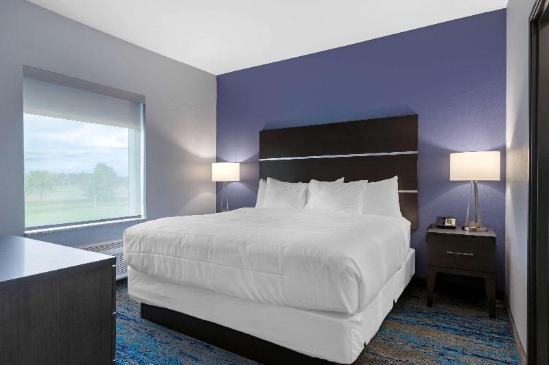 جناح سرير كينج, Comfort Inn & Suites Adrian