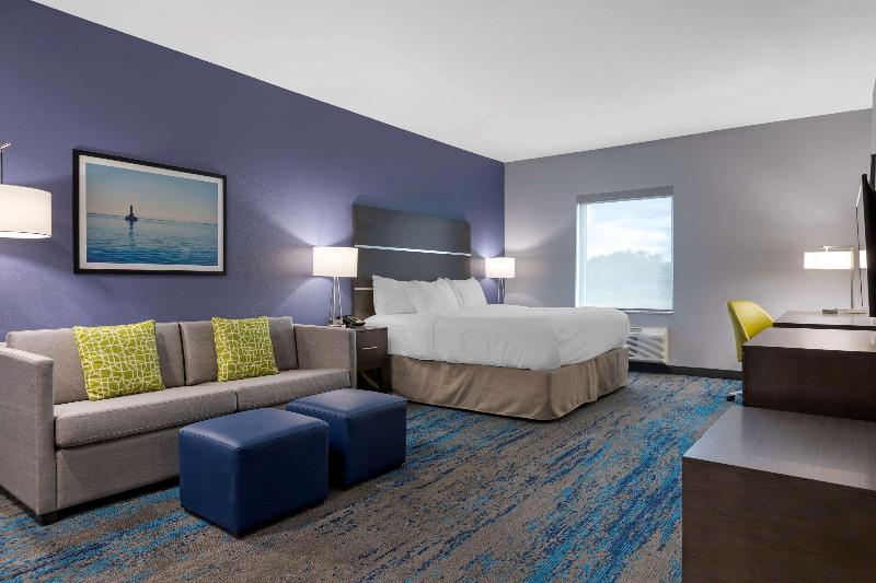 جناح لذوى الاحتياجات الخاصة, Comfort Inn & Suites Adrian