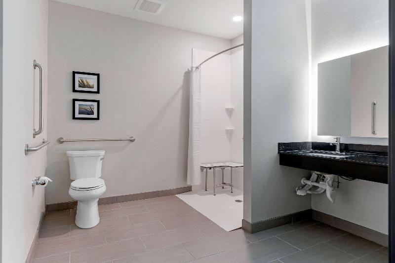 جناح لذوى الاحتياجات الخاصة, Comfort Inn & Suites Adrian