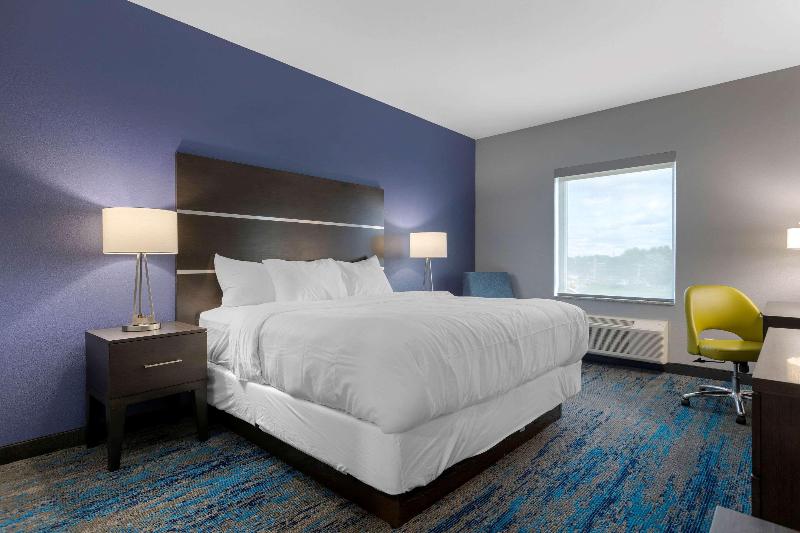 غرفة قياسية سرير كينج, Comfort Inn & Suites Adrian