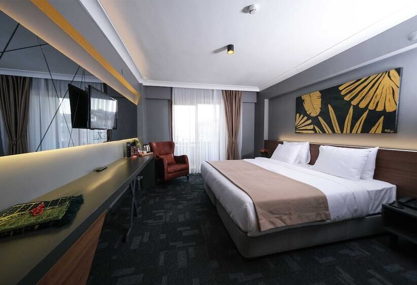 스탠다드 룸, Luxon Hotel Sakarya