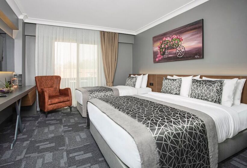 스탠다드 룸, Luxon Hotel Sakarya
