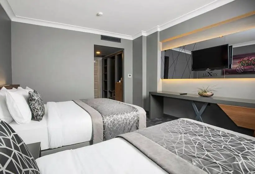 デラックスルーム, Luxon Hotel Sakarya