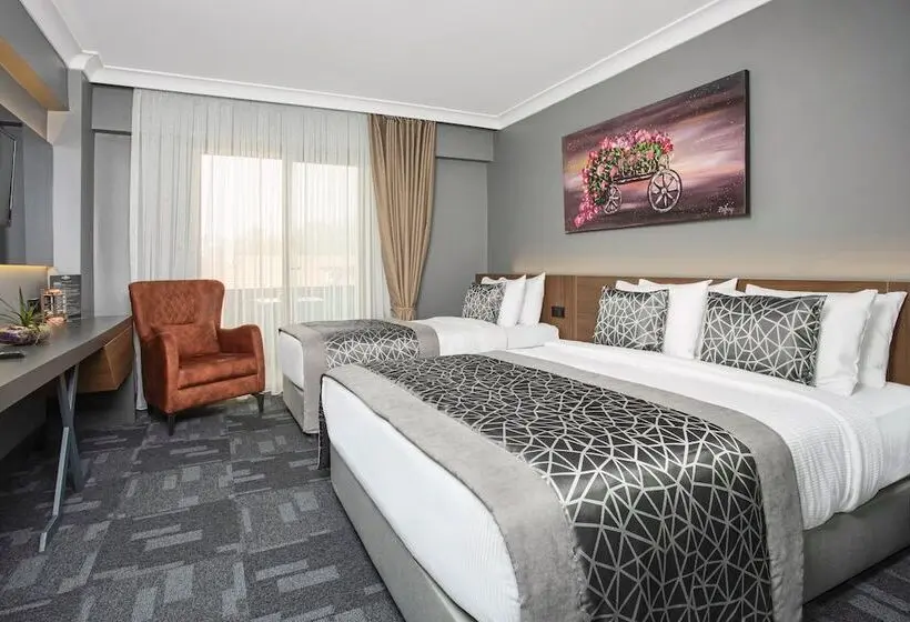 デラックスルーム, Luxon Hotel Sakarya