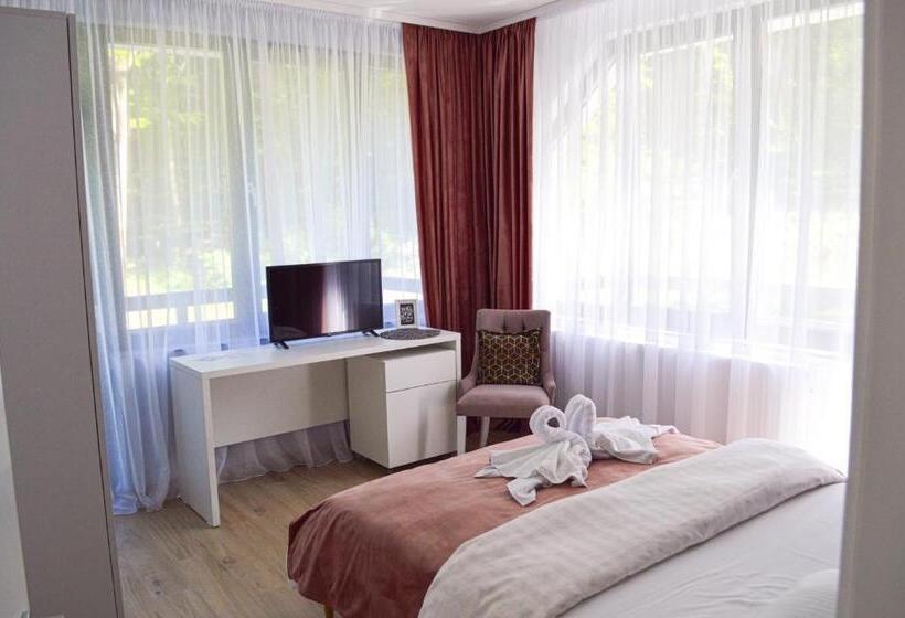 バルコニー付きスタンダードルーム, Băile Puturoasa