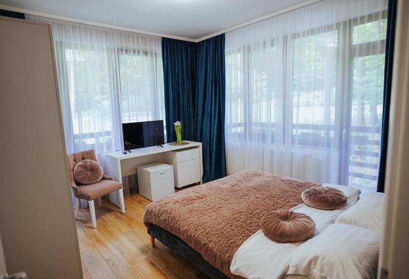 バルコニー付きスタンダードルーム, Băile Puturoasa