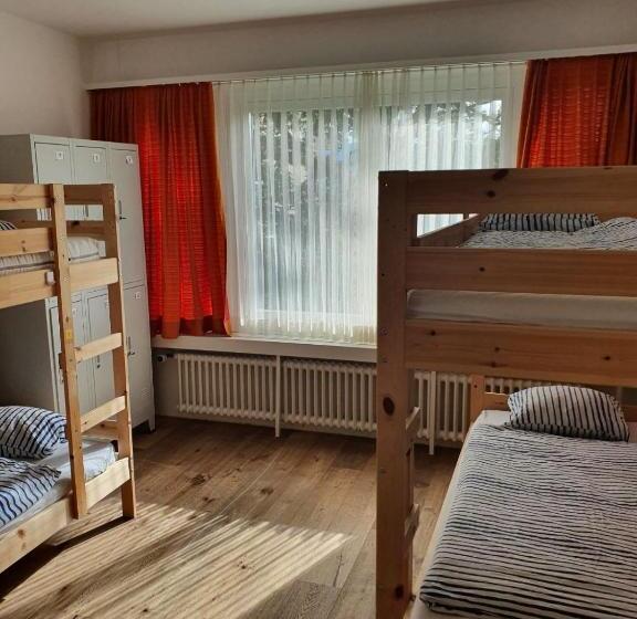 Cama em Quarto Partilhado, Viktoria Budget Hostel