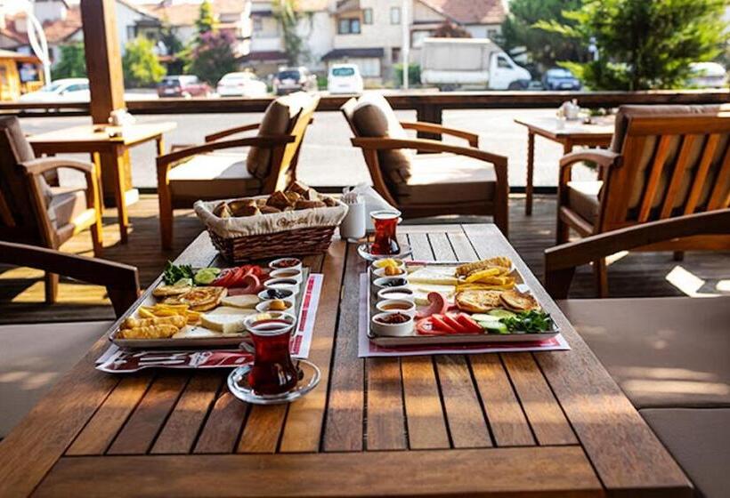 Studio Standard, Ceneviz Suit