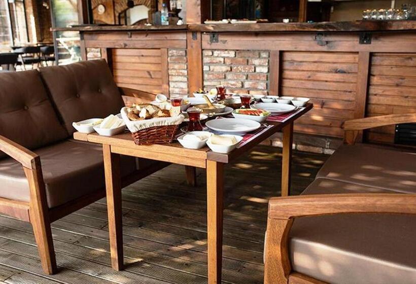 Studio Standard, Ceneviz Suit