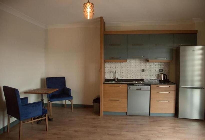 Studio Standard, Ceneviz Suit