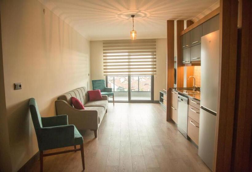 Studio Standard, Ceneviz Suit