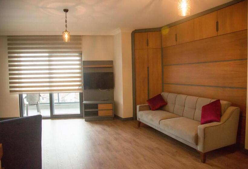 Studio Standard, Ceneviz Suit