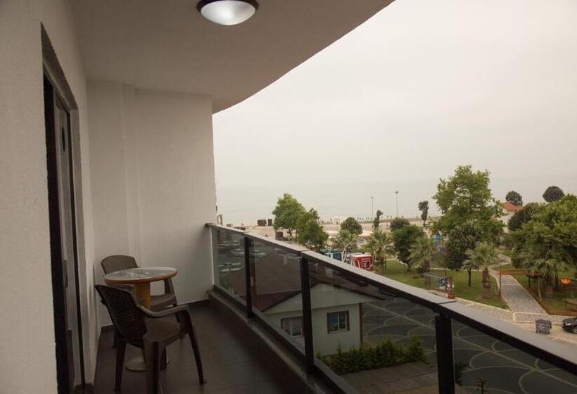 Studio Standard, Ceneviz Suit