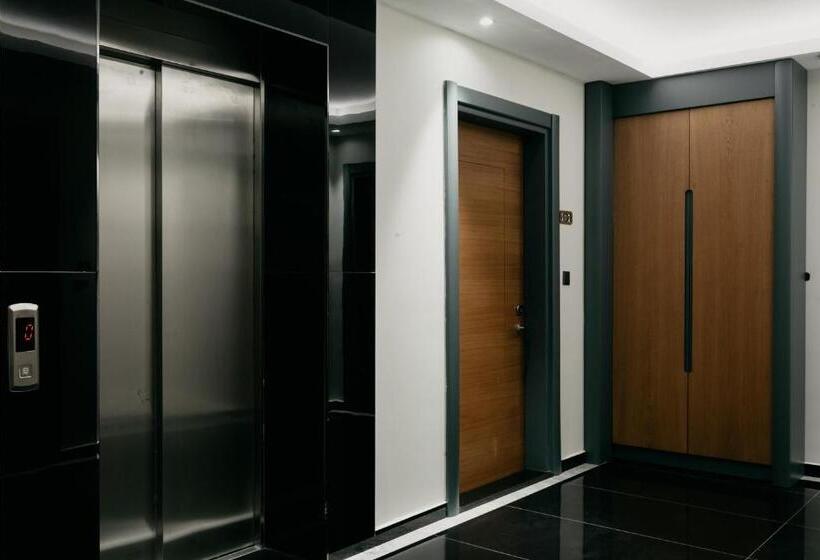 Studio Standard, Ceneviz Suit