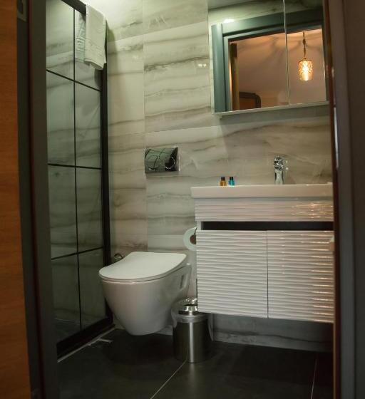 Studio Standard, Ceneviz Suit