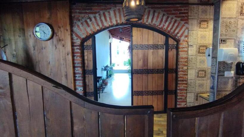 Studio Standard, Ceneviz Suit