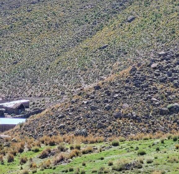 キングサイズベッドのスタンダードルーム, The First Real Bed & Breakfast Hiking Hotel  The Office  In Arequipa, Peru