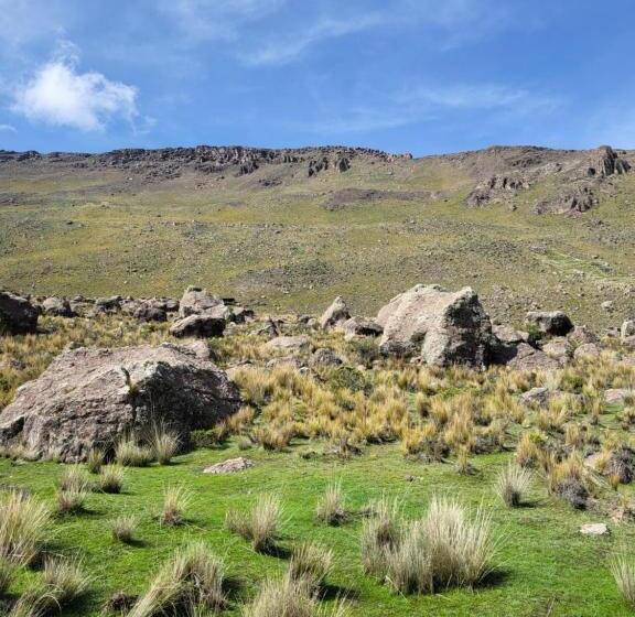 キングサイズベッドのスタンダードルーム, The First Real Bed & Breakfast Hiking Hotel  The Office  In Arequipa, Peru