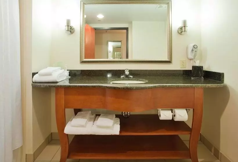 スイート, Holiday Inn Express Hotel & Suites Fredericksburg, An Ihg