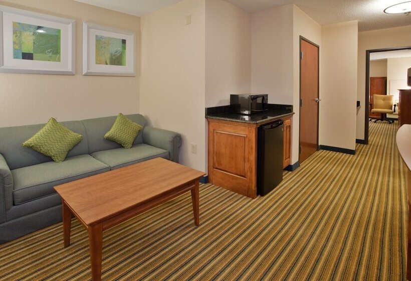 Люкс, Holiday Inn Express Hotel & Suites Fredericksburg, An Ihg