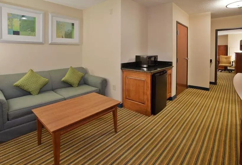 スイート, Holiday Inn Express Hotel & Suites Fredericksburg, An Ihg