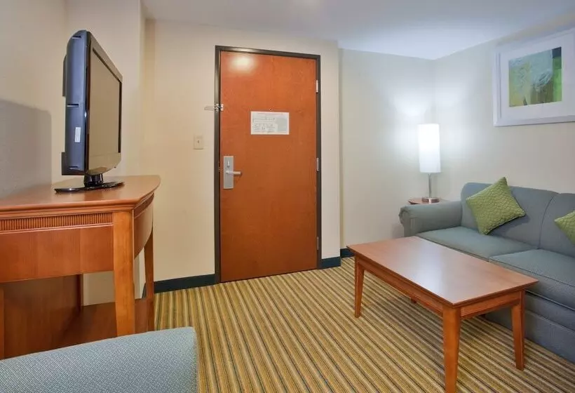 スタンダードルーム, Holiday Inn Express Hotel & Suites Fredericksburg, An Ihg