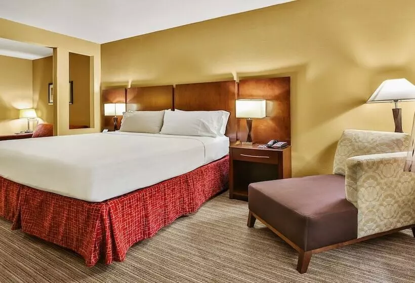 スイート, Holiday Inn Express & Suites Houston South   Near Pearland, An Ihg