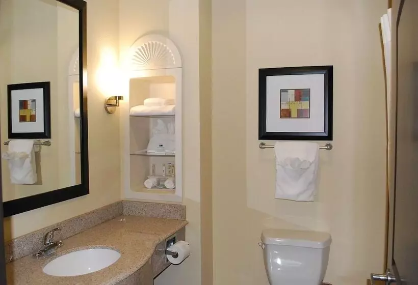 スタンダードルーム, Holiday Inn Express & Suites Houston South   Near Pearland, An Ihg