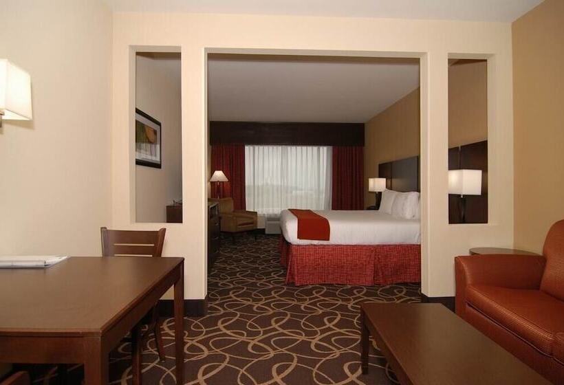 适合残疾人士使用的套间, Holiday Inn Express & Suites Houston South   Near Pearland, An Ihg