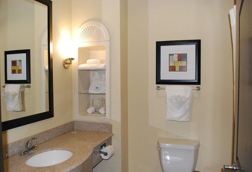 适合残疾人使用的标准间, Holiday Inn Express & Suites Houston South   Near Pearland, An Ihg