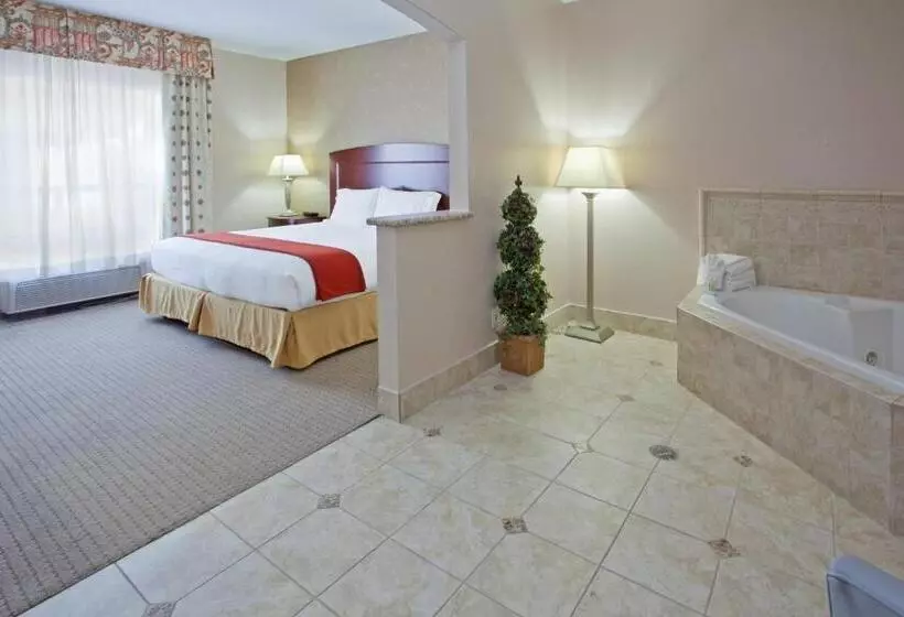 سوئیت با تخت بزرگ, Holiday Inn Express & Suites College Station, An Ihg