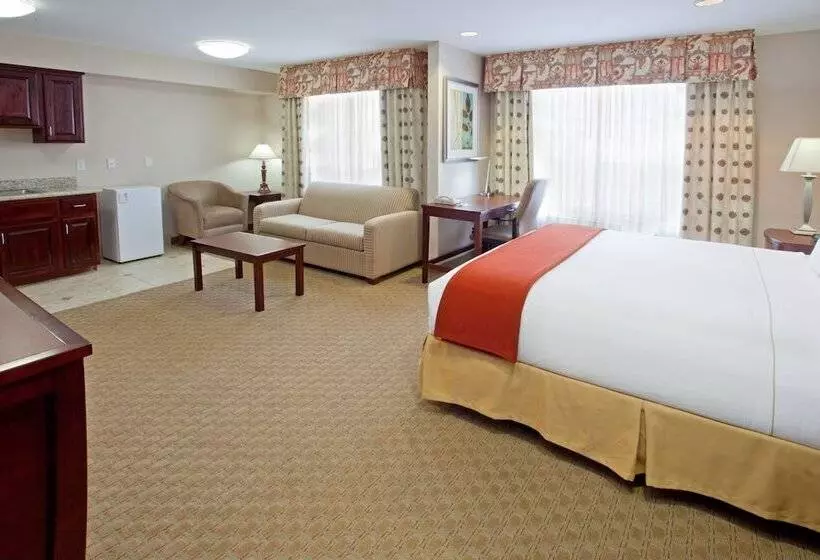اتاق استاندارد, Holiday Inn Express & Suites College Station, An Ihg