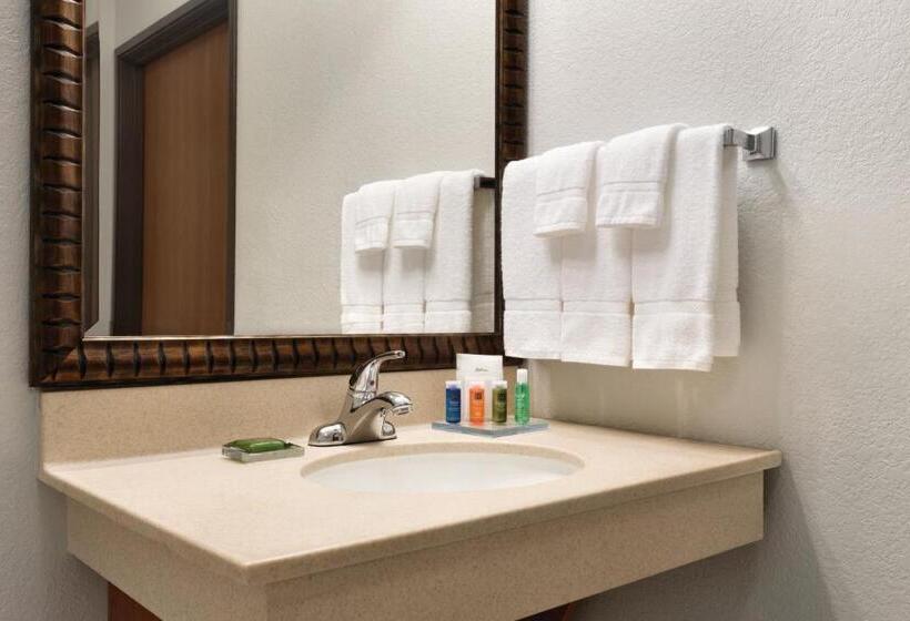 غرفة قياسية سرير كينج, Radisson Hotel Ames Conference Center At Isu