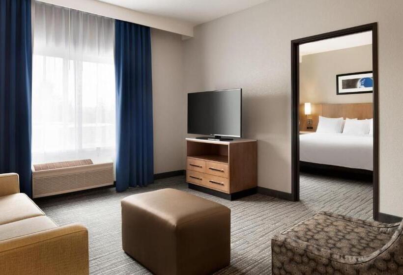 جناح سرير كينج, Radisson Hotel Ames Conference Center At Isu