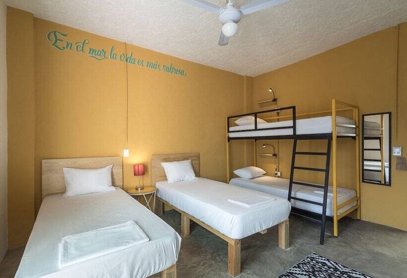 سرير فى غرفة مشتركه, Selina Cancun Downtown