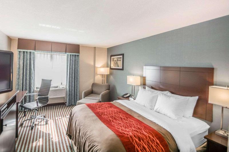 غرفة ديلوكس, Selina Cancun Downtown