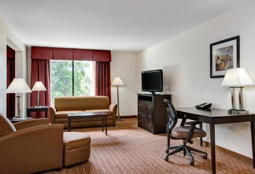 디럭스 스위트 킹 침대, Wingate By Wyndham State Arena Raleigh/cary