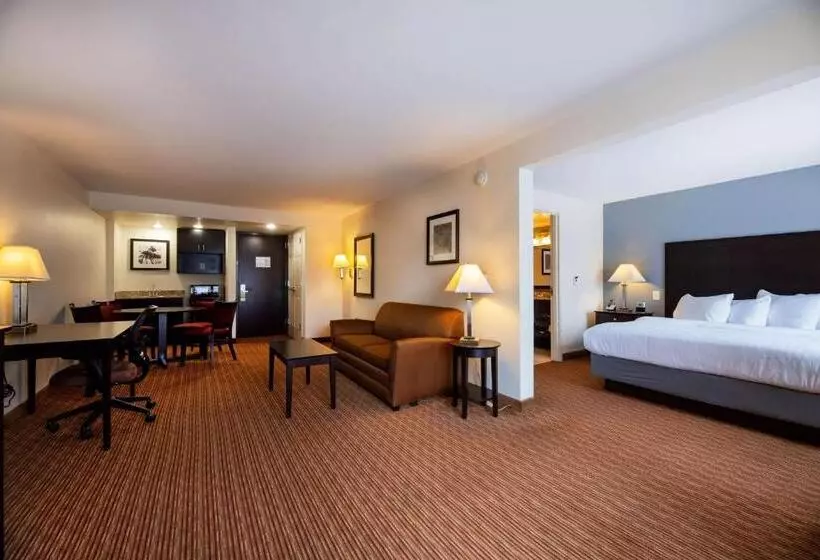 キングサイズベッドのデラックススイート, Wingate By Wyndham State Arena Raleigh/cary