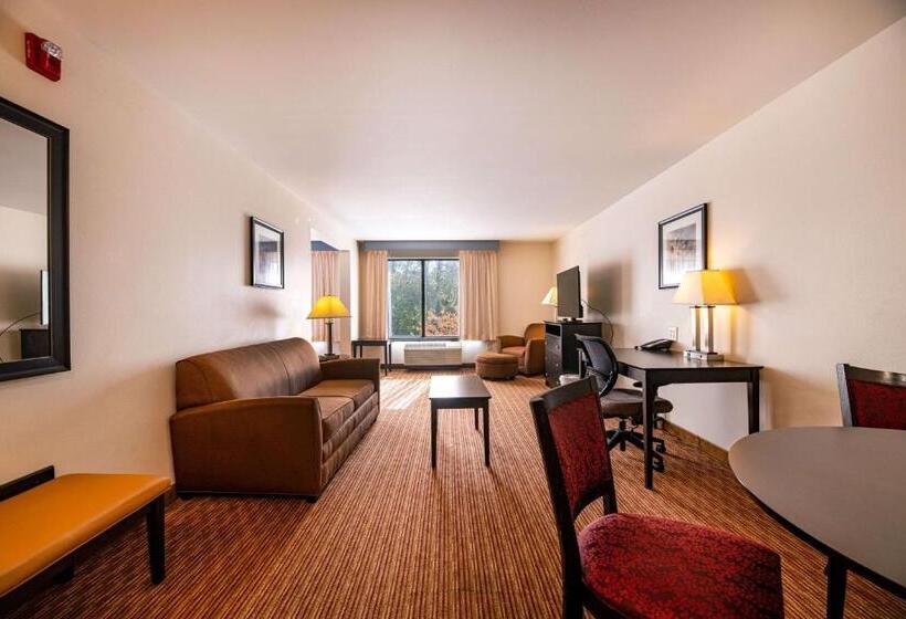 Люкс Deluxe Кровать Кинг, Wingate By Wyndham State Arena Raleigh/cary