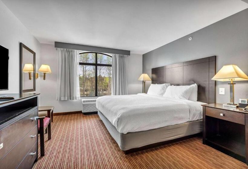 스탠다드 룸 킹사이즈 침대, Wingate By Wyndham State Arena Raleigh/cary