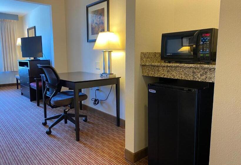 Стандартный Номер Кровать Кинг, Wingate By Wyndham State Arena Raleigh/cary