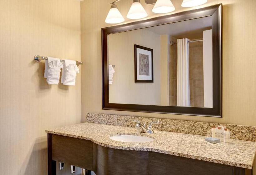 스탠다드 룸 킹사이즈 침대, Wingate By Wyndham State Arena Raleigh/cary