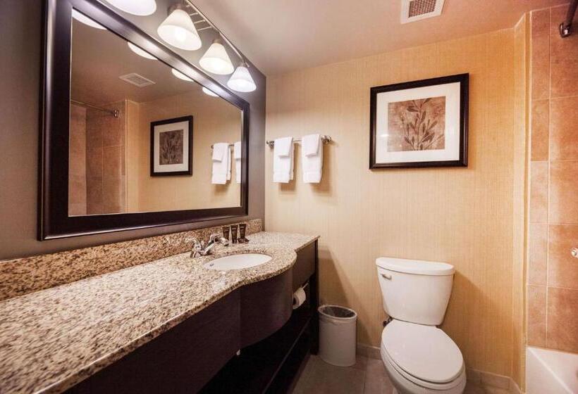 스탠다드 룸 킹사이즈 침대, Wingate By Wyndham State Arena Raleigh/cary