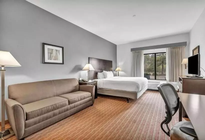 身障者適用キングサイズベッドルーム, Wingate By Wyndham State Arena Raleigh/cary