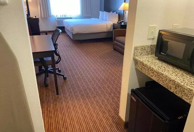 身障者適用キングサイズベッドルーム, Wingate By Wyndham State Arena Raleigh/cary