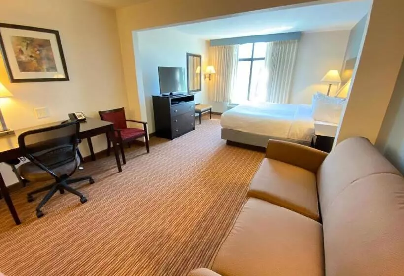 身障者適用キングサイズベッドルーム, Wingate By Wyndham State Arena Raleigh/cary
