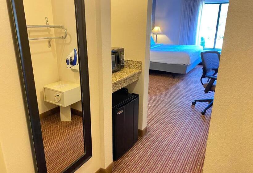 장애인을 위한 킹사이즈 침대 스탠다드 룸, Wingate By Wyndham State Arena Raleigh/cary